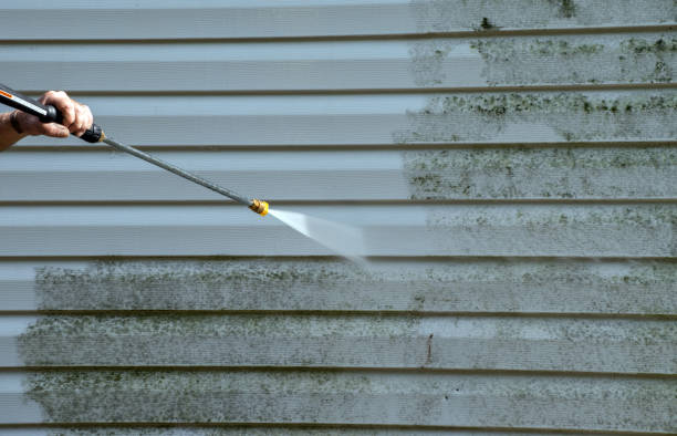 Best House Exterior Washing  in Fannett, TX